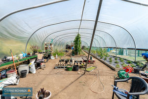 Polytunnel- click for photo gallery
